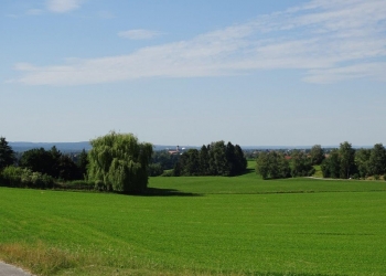 Immobilie Details Landwirtschaftliches Grundstück in Polling, Butterberg