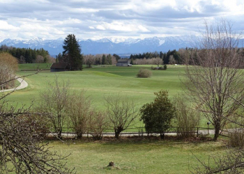 Blick-vom-Balkon