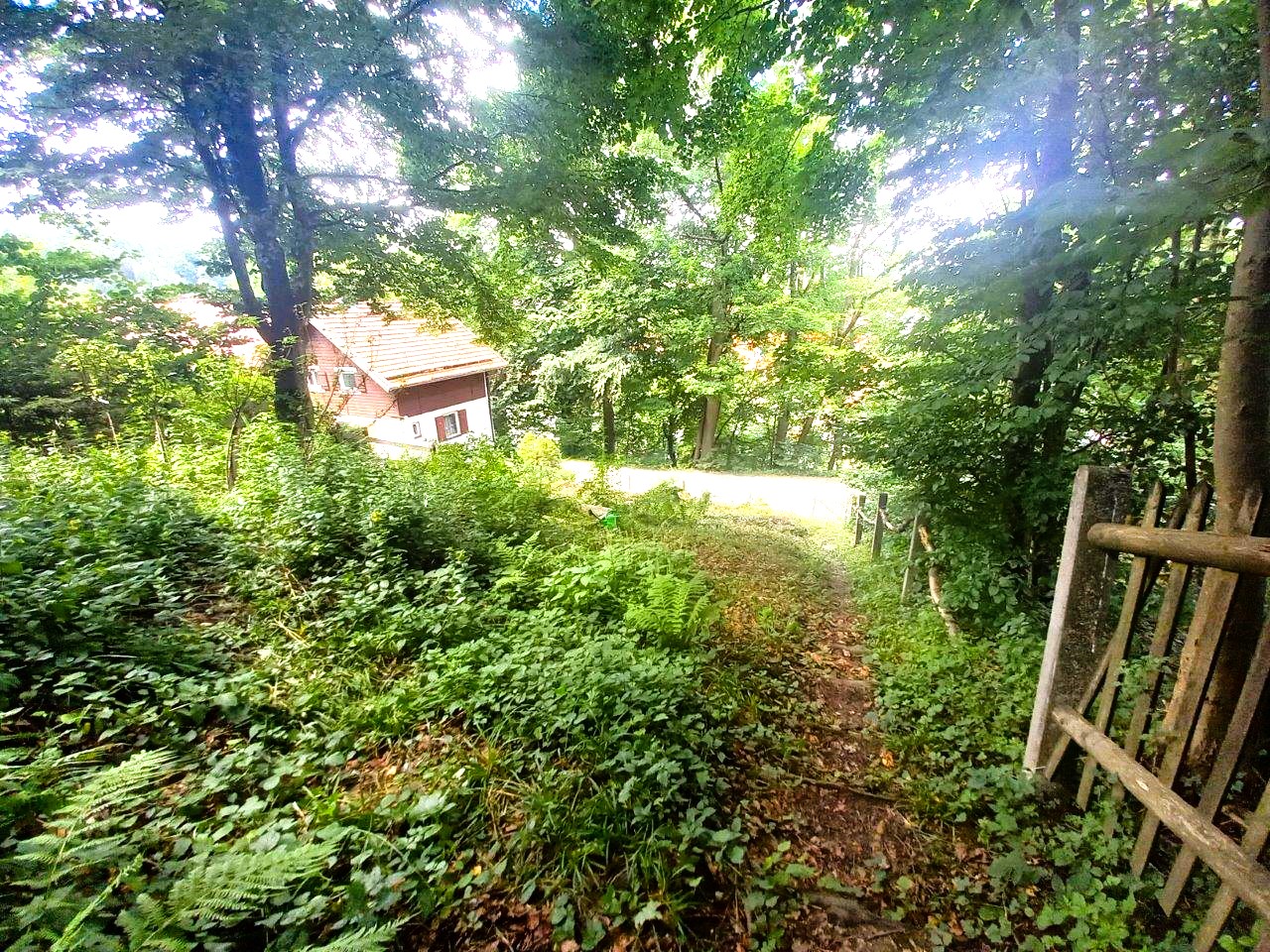 Blick-von-oben