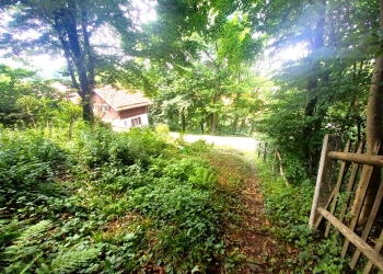 Blick-von-oben