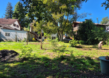 Platz-fuer-viele-Moeglichkeiten