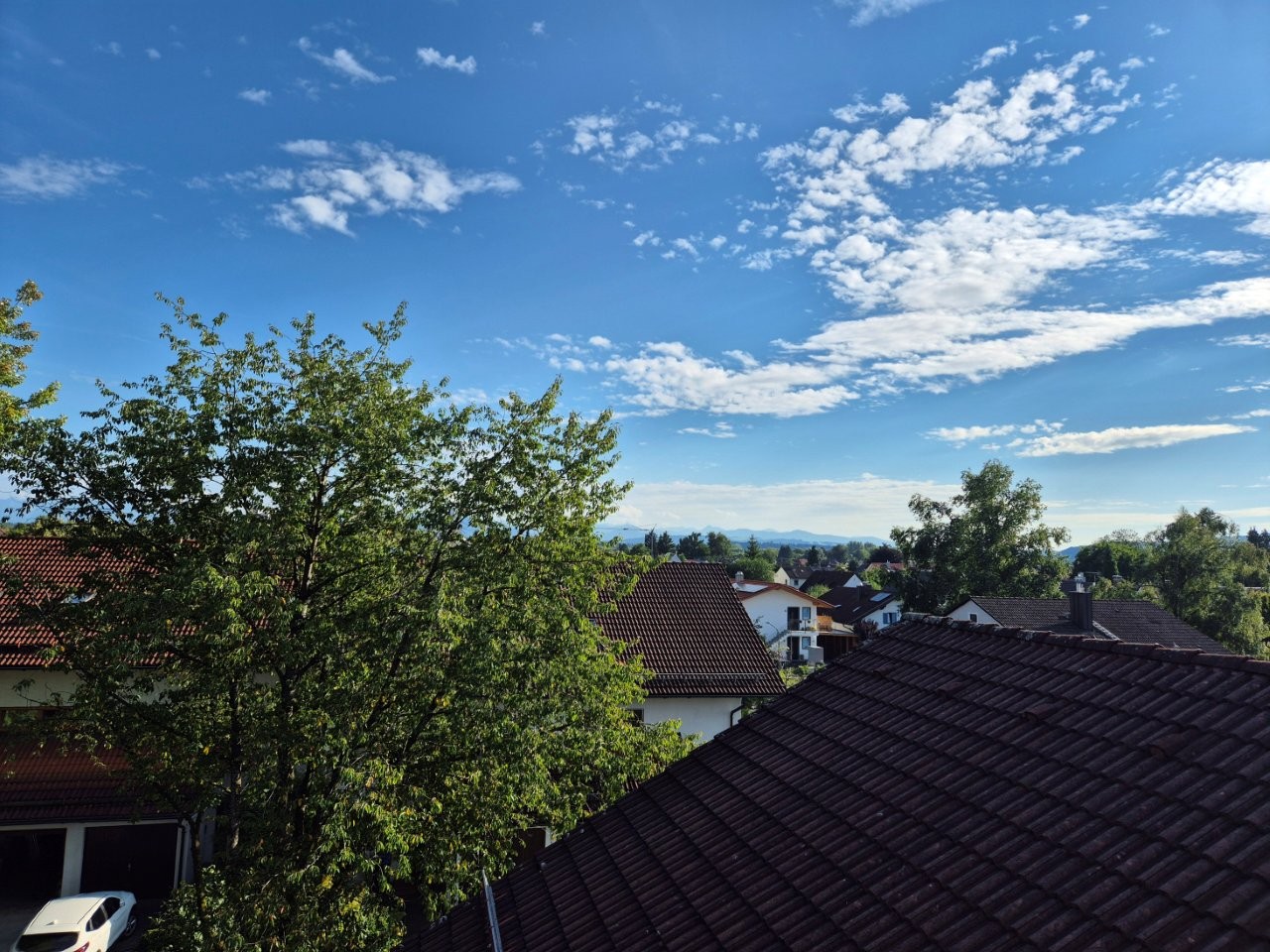 Ausblick
