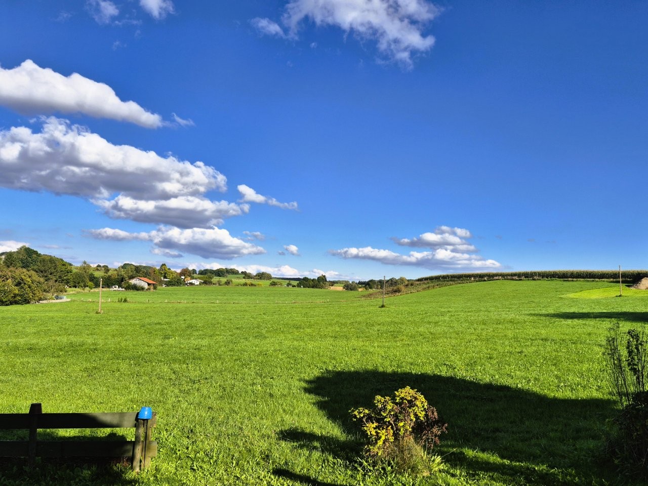 Blick-in-die-Ferne