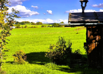 Immobilie Details Bauen nach Ihren Wünschen – besonderes Baugrundstück mit freiem Blick in Berg am Starnberger See, OT Farchach
