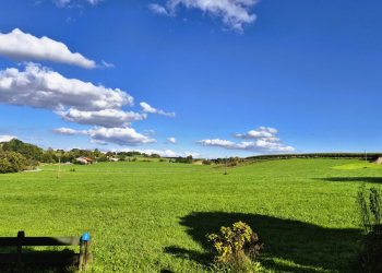 Blick-in-die-Ferne