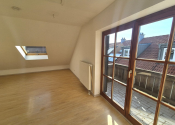 DG-Bild-3